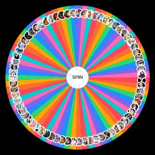 One piece Character Power Wheel