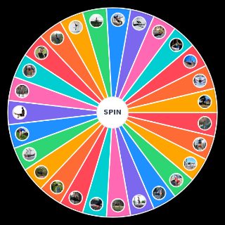 Street Workout & Calisthenics Wheel