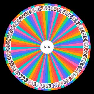 Random All Honkai Star Rail Characters (4.1 Version) Wheel