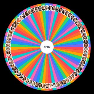 Hottest Female Celebrities Wheel