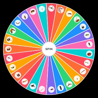 Anthropods (Bugs) Wheel