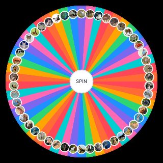 mmet против животных Wheel