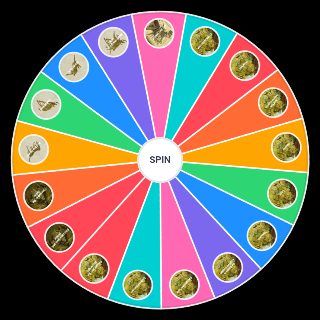 Yaelokre songs Wheel