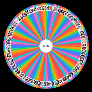 KPOP Female Idol Wheel
