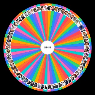 Random Male Celebrity Wheel
