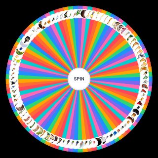 Spin the Wheel: bevande