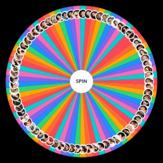 Spin the Wheel: Most Beautiful Celebrity Women: Ultimate