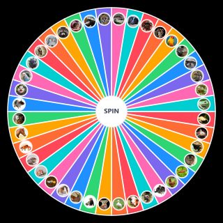 ULTIMATE PET Wheel