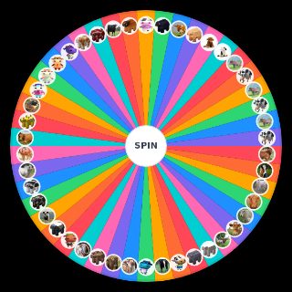 Random Cow Breeds Wheel