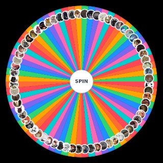 Nine Billion Miles Character Random Picker