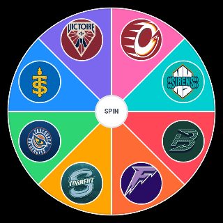 PWHL Team Wheel