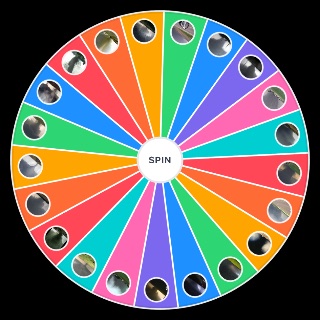 Spin the Wheel: Tornado