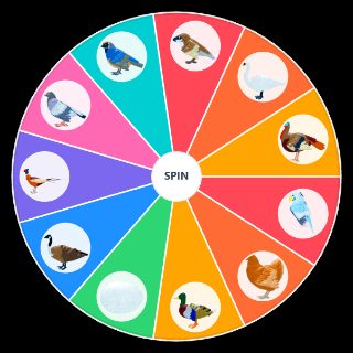 Random Feather Family Standards Picker