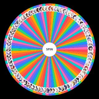Random Honkai Star Rail Wheel