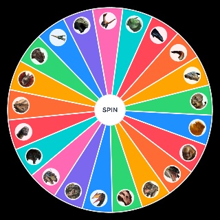 Random Jurassic World: Rebirth Creatures Wheel