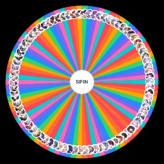 Spin the Wheel: HSR owned Characters and eidolons