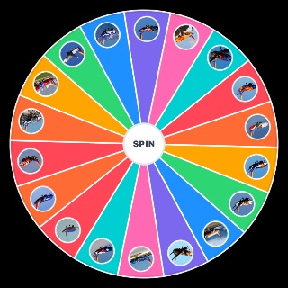 Choose a Random Southwest Airlines Special liveries