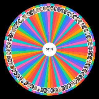 Spin the Wheel: Naruto Part 1 Characters