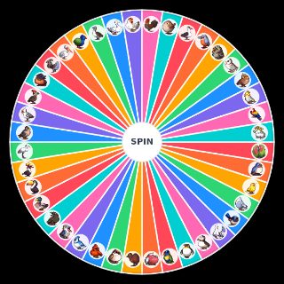 Spin the Wheel: Birds