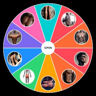 Random Most Aesthetic Muscle Group Wheel