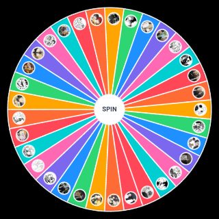 Spin the Wheel: WINDBREAKER ship