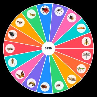Spin the Wheel: Insects