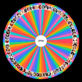 Random Madonna Music Videos Wheel