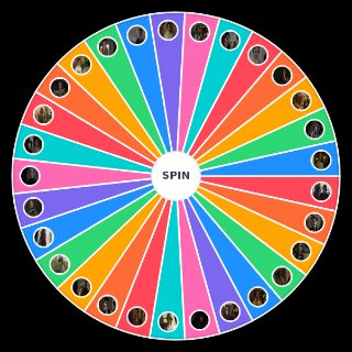 Random Anne with an E Characters Wheel
