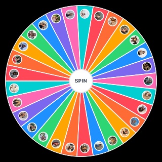 Choose a Random Tipe italiane influencer/tiktoker