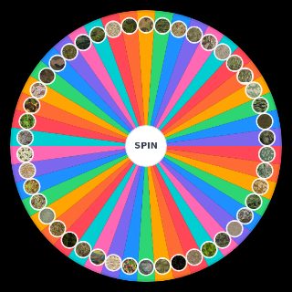Spin the Wheel: Camo