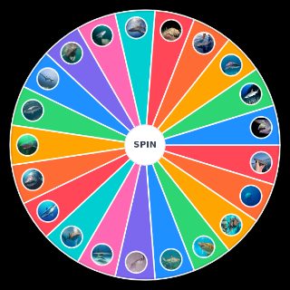 Choose a Random sharks