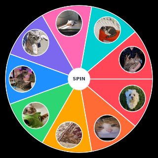 pets pets pets pets Random Generator