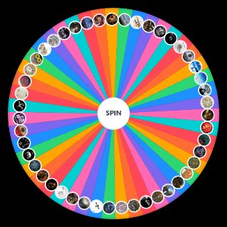 Random Top 5 Wheel