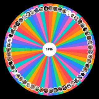 Spin the Wheel: silly cats