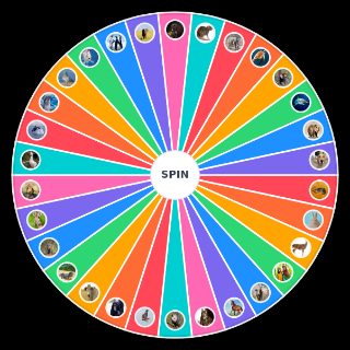 Spin the Wheel: Animais para reencarnar