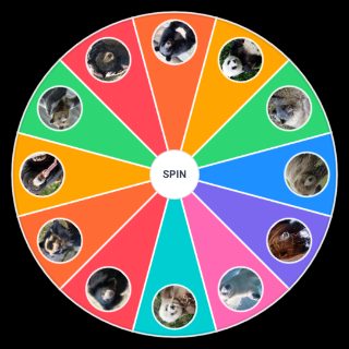 Bear Species Wheel