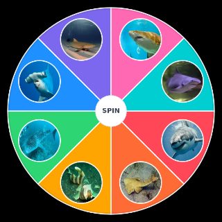 Random Types Of Sharks Wheel