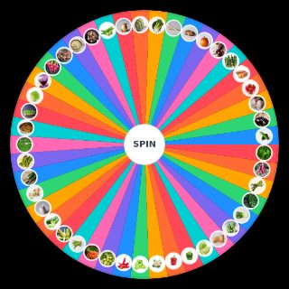 Wedgetables Wheel