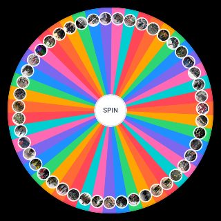 terrorist organisation based on aura Wheel