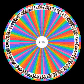 Spin the Wheel: Degrassi TNG & Next Class Characters