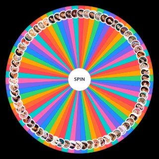 All Female Singers Wheel