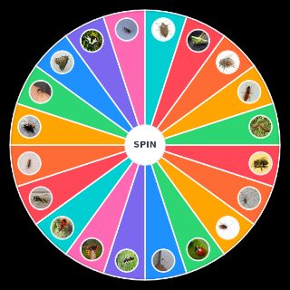 Random insectes du quotidien les plus degeu Wheel