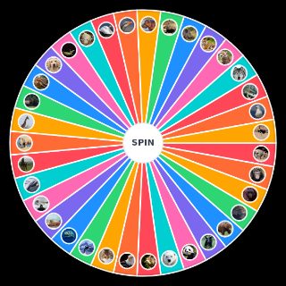 Spin the Wheel: Animals You Would Win A Fight Against