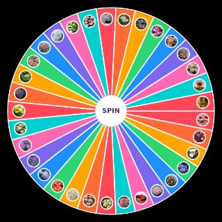 Pick a Random Flowers