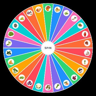 les différents légumes Wheel