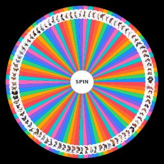Uma Musume Pretty Derby ウマ娘 プリティーダービー たぬき Wheel