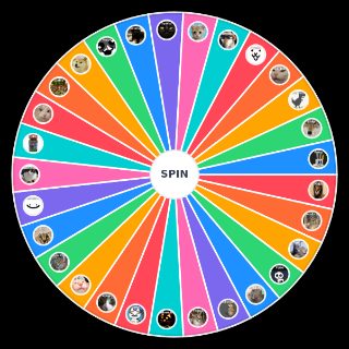 Tower Defense Floppa Edition Random Generator