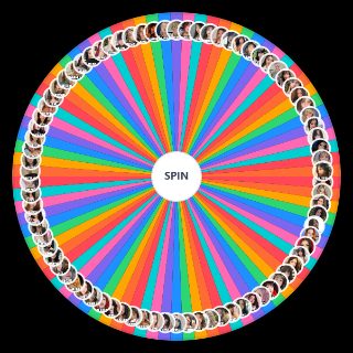 the best Wheel