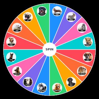 Choose a Random MELHORES CATIOROS