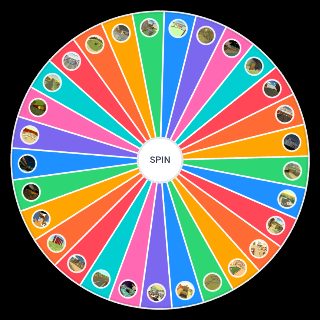 Choose a Random Chicken Gun map